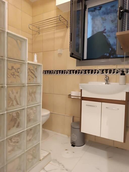 Giannis Apartment アテネ エクステリア 写真